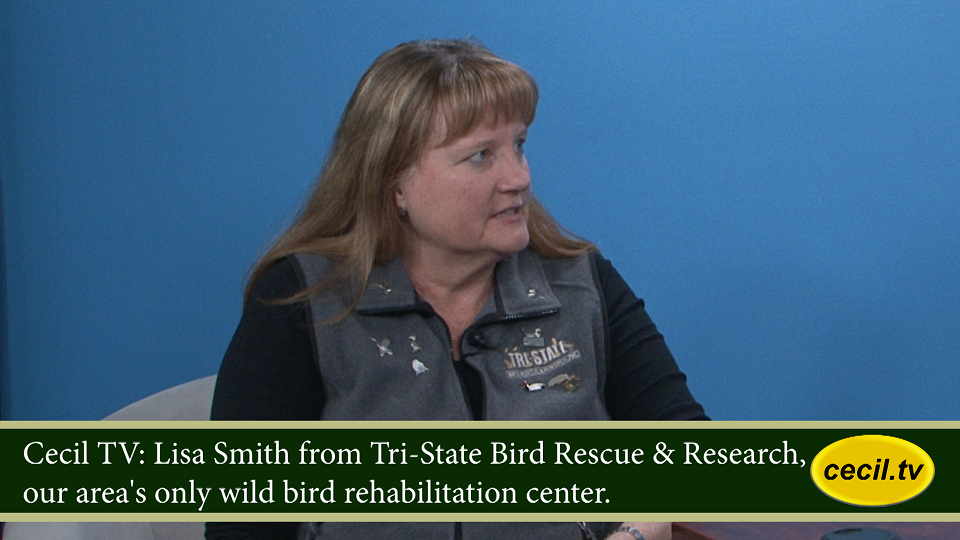 Lisa Smith from Tri-State Bird Rescue & Research, our area's only wild bird rehabilitation center.