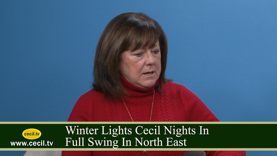 Winter Lights Cecil Nights In Full Swing In North East