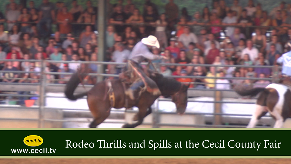 Rodeo Thrills and Spills at the Cecil County Fair